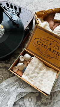 Mamie & Papi souris et leur boîte à cigares 🐭