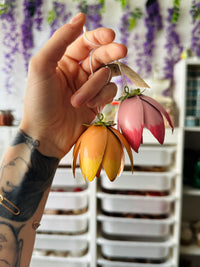 Suspension Florale 🌷