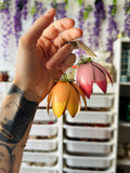 Suspension Florale 🌷