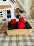 La tulipe qui mousse 🌷