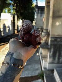 Écureuil qui mousse 🐿️