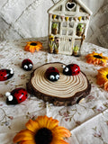 Porte Bonheur Coccinelle 🐞