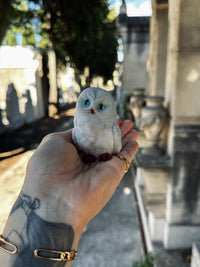 Chouette qui mousse 🦉
