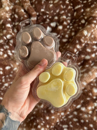 Fondant Papatte 🐻🍯