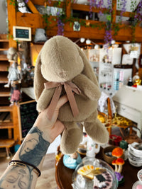 Peluche Lapin 🤎