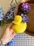 Canard qui Mousse 🐤