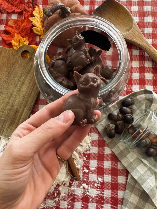 Chat’von ! 😽🫧