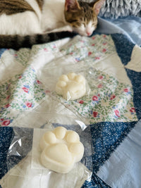 Fondant Patte ’🐾
