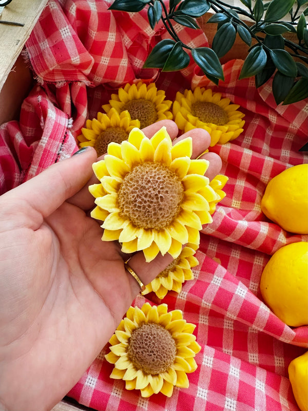 Le tournesol qui mousse 🌻