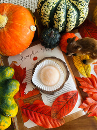 Le Mochi de l’automne 🍂