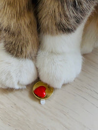 Porte Bonheur ❤️