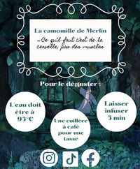 La camomille de Merlin 🌿✨