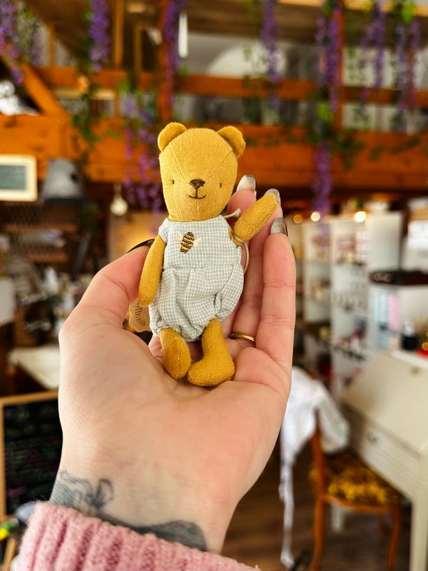 Bébé ours 🧸🩵