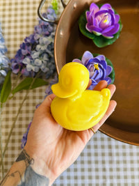 Canard qui Mousse 🐤