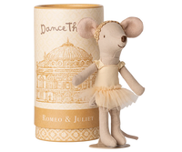 Roméo & Juliette 🪞✨
