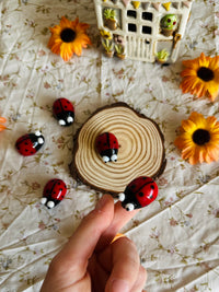 Porte Bonheur Coccinelle 🐞