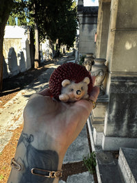 Hérisson qui mousse 🦔