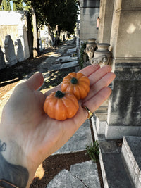 Mini pumpkin 🧡