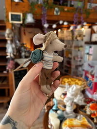 Sam la souris randonneuse 🐭🏕️